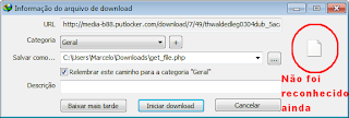 review-internet-download-manager