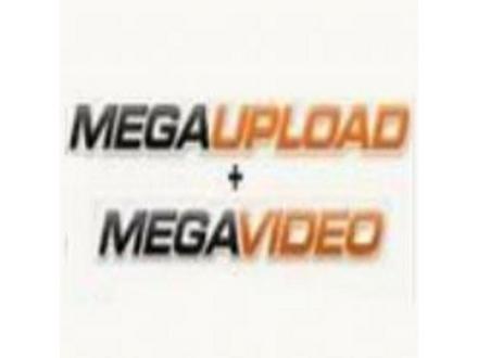 ver-filme-avi-antes-de-baixar-megaupload