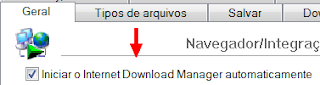 como-configurar-internet-download-manager