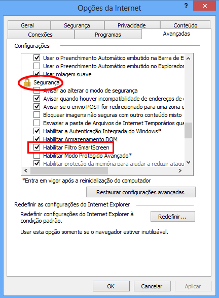 aumentar segurança internet explorer 10 11