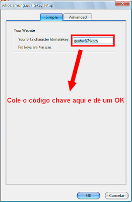 ver-quem-esta-lendo-meu-blog--site-agora-tempo-real