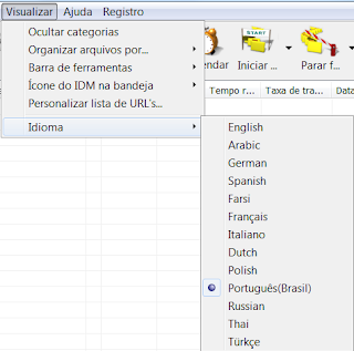 como-usar-internet-download-manager