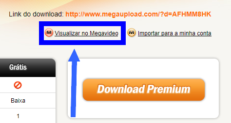 megaupload-visualizar-filme-avi-antes-do-download